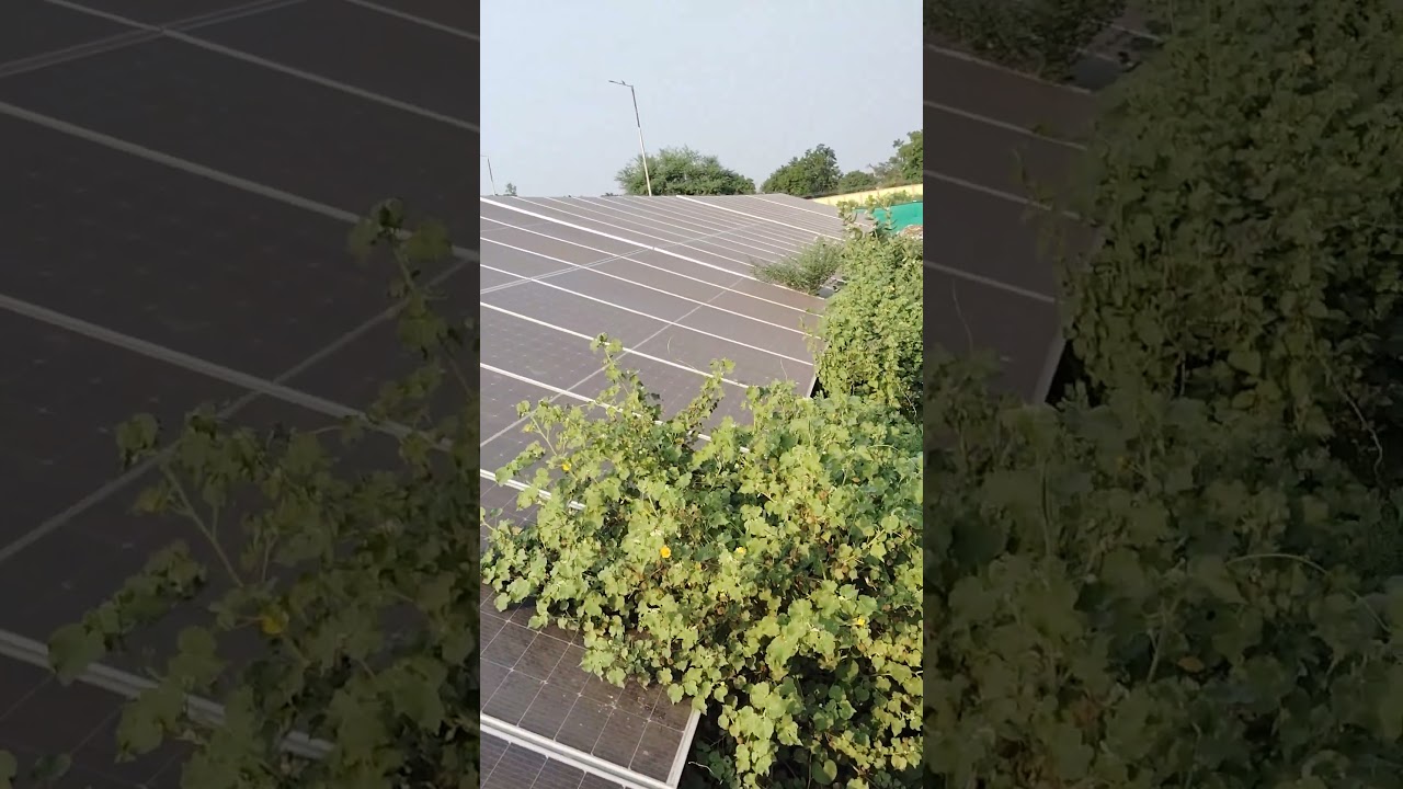 Bad 👎😡 conditions in solar penla 