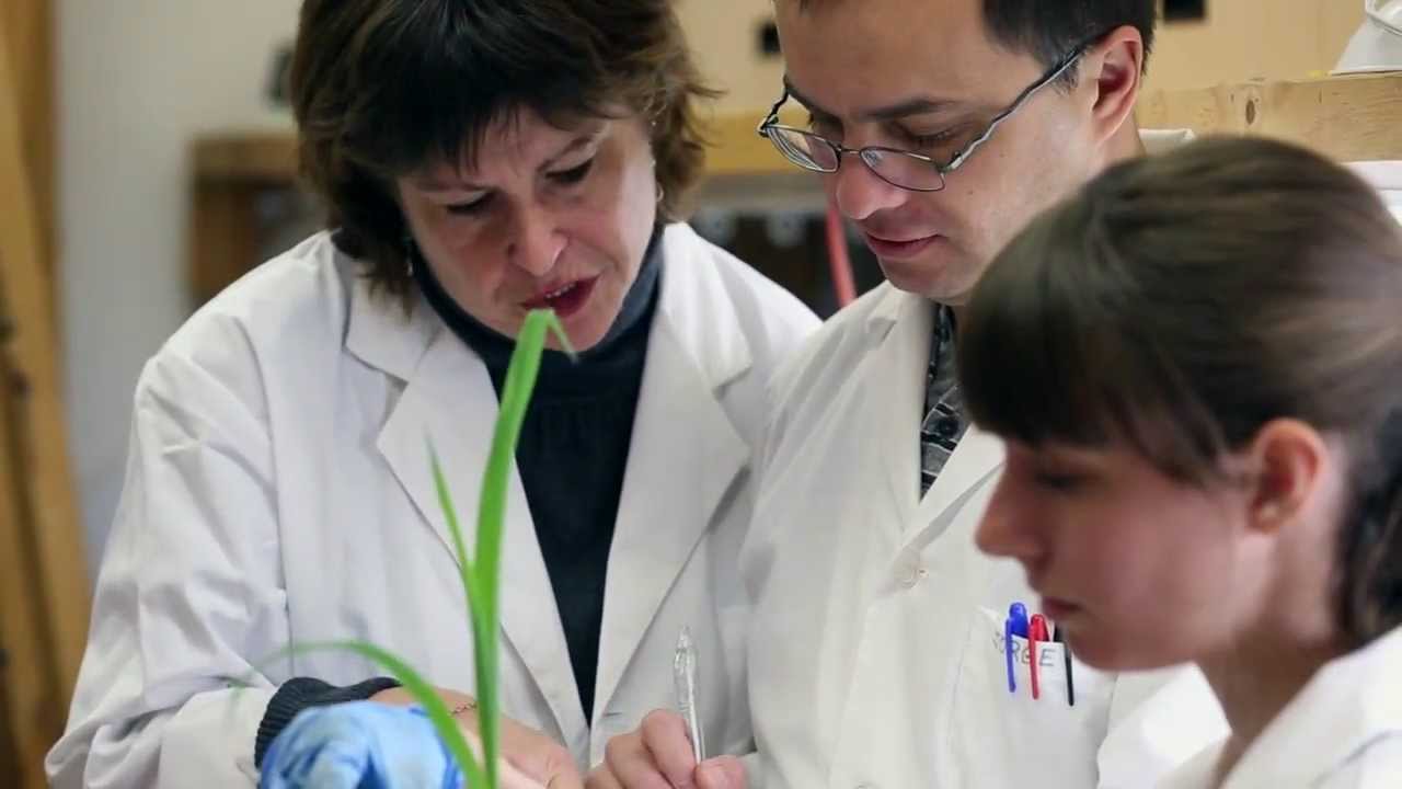 Ryerson University Faculty of Science - Professor Lynda McCarthy