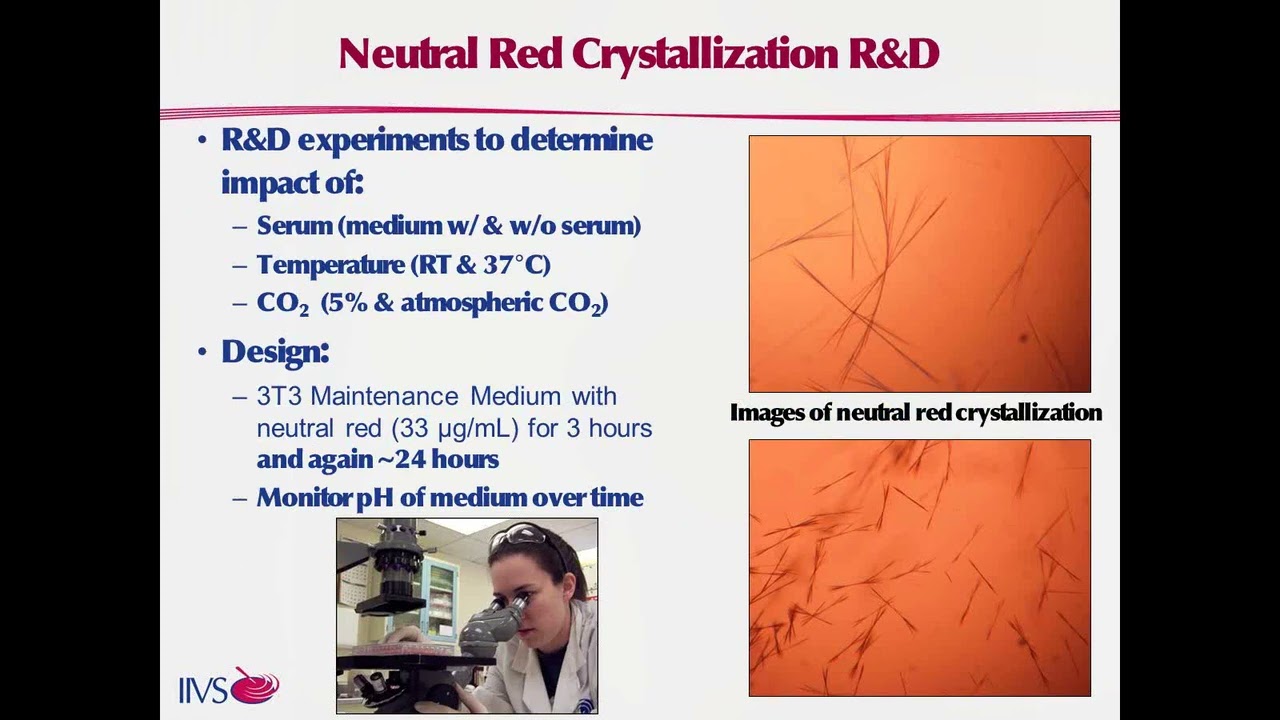 In Vitro 3T3 Phototoxicity Assay: Assay Optimization & Challenges