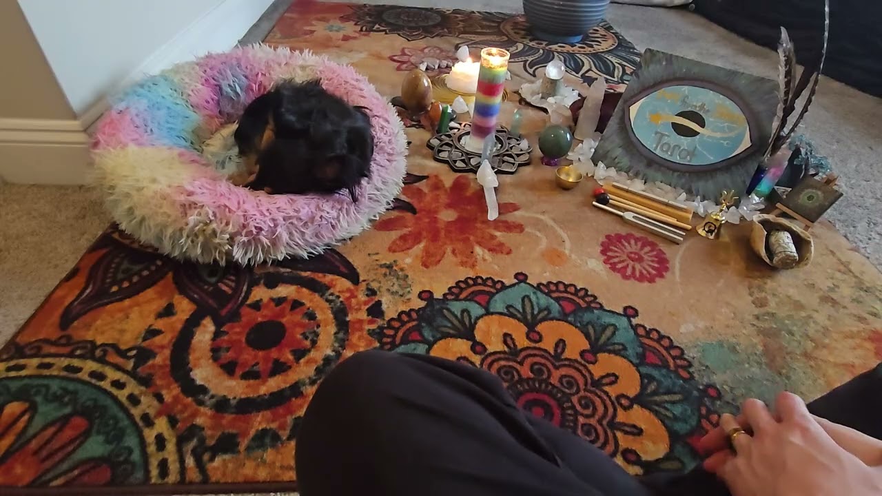 A glimpse into the future 