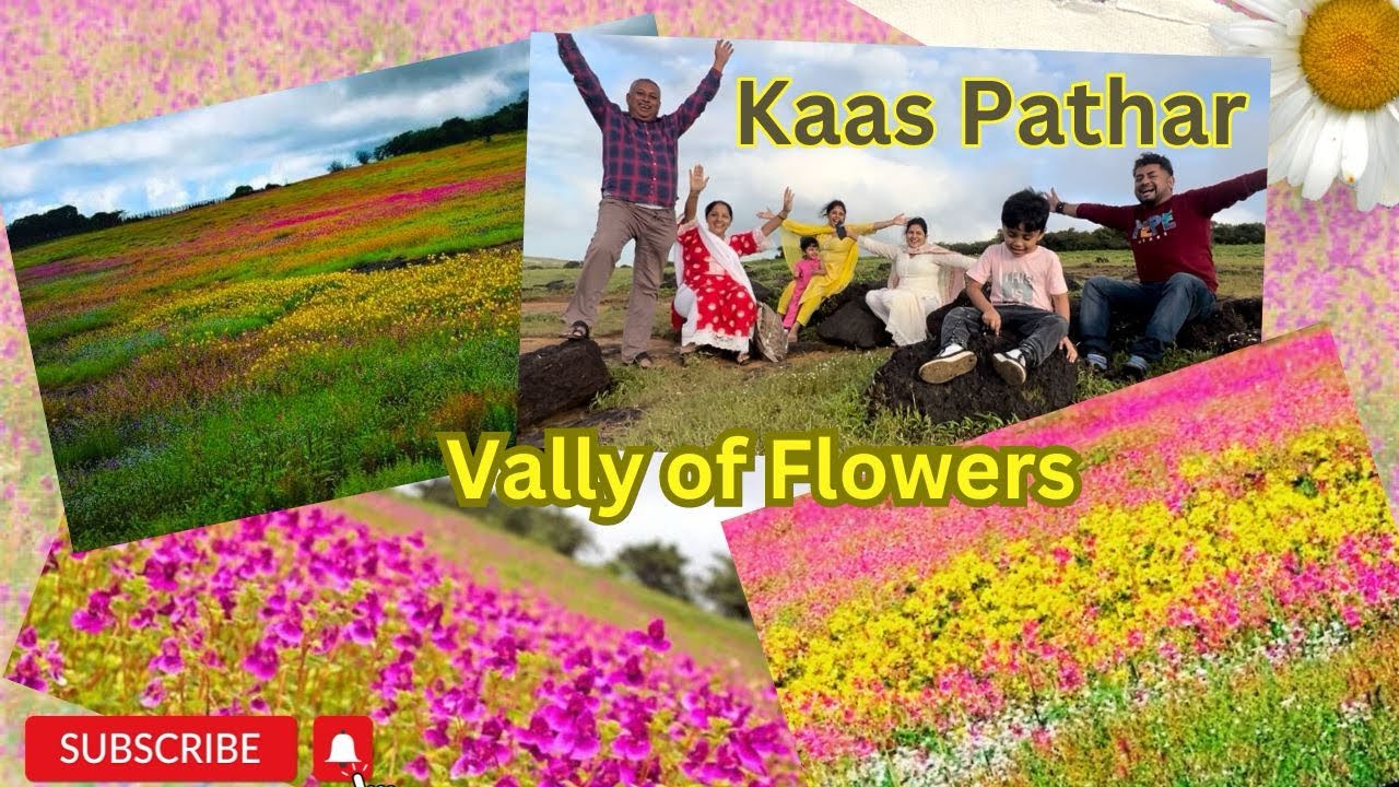 Kaas Pathar- Maharashtra.