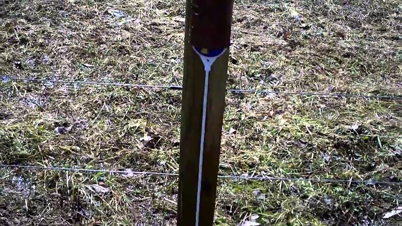 Orchard Diary 3/17/2011: Putting out the weather stuff