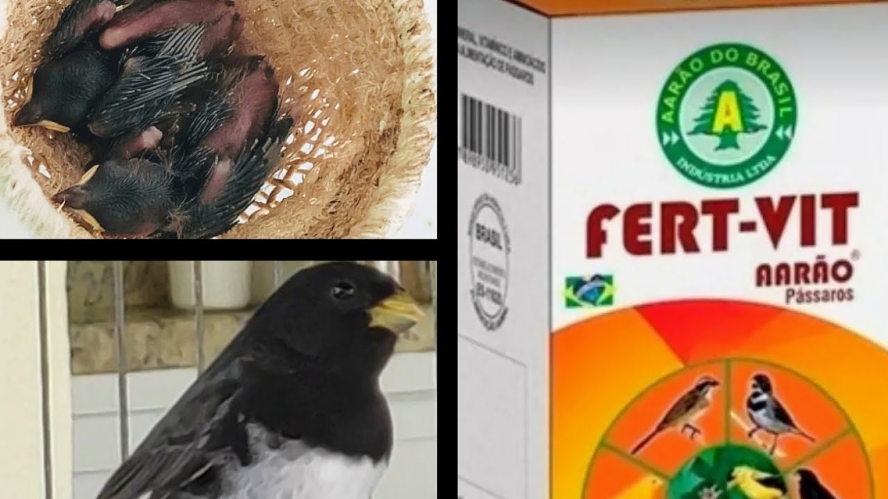 FERT VIT AARÃO  , FERTILIDADES PARA MACHOS E FÊMEAS