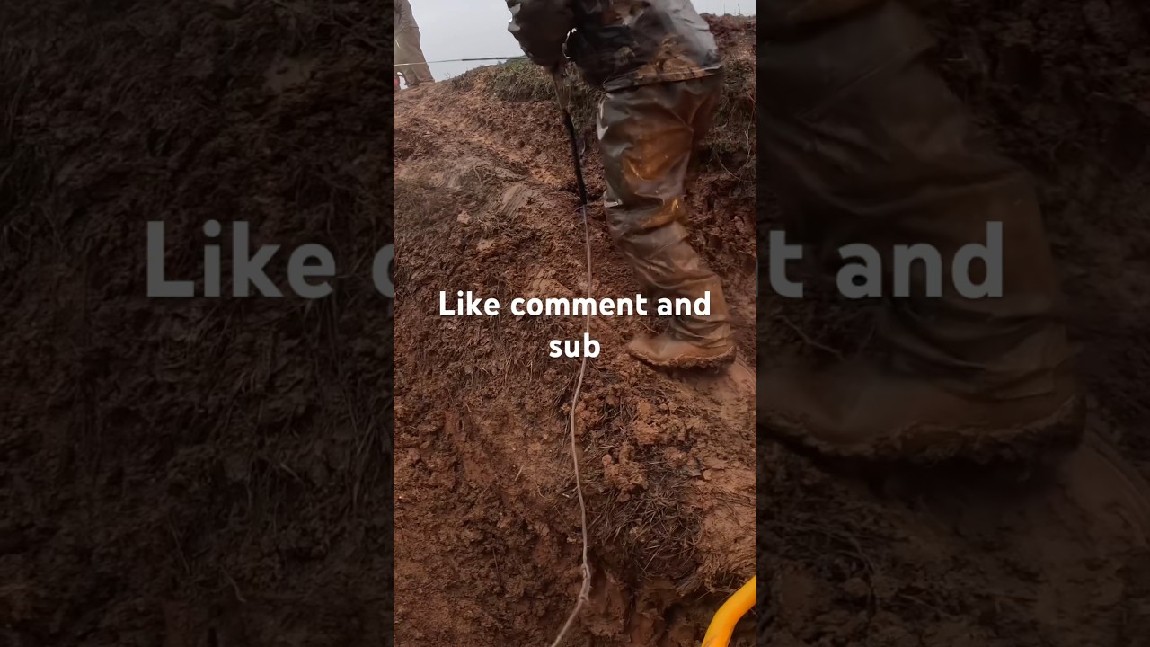 Borrowings Honda talons winch to get up muddy hill