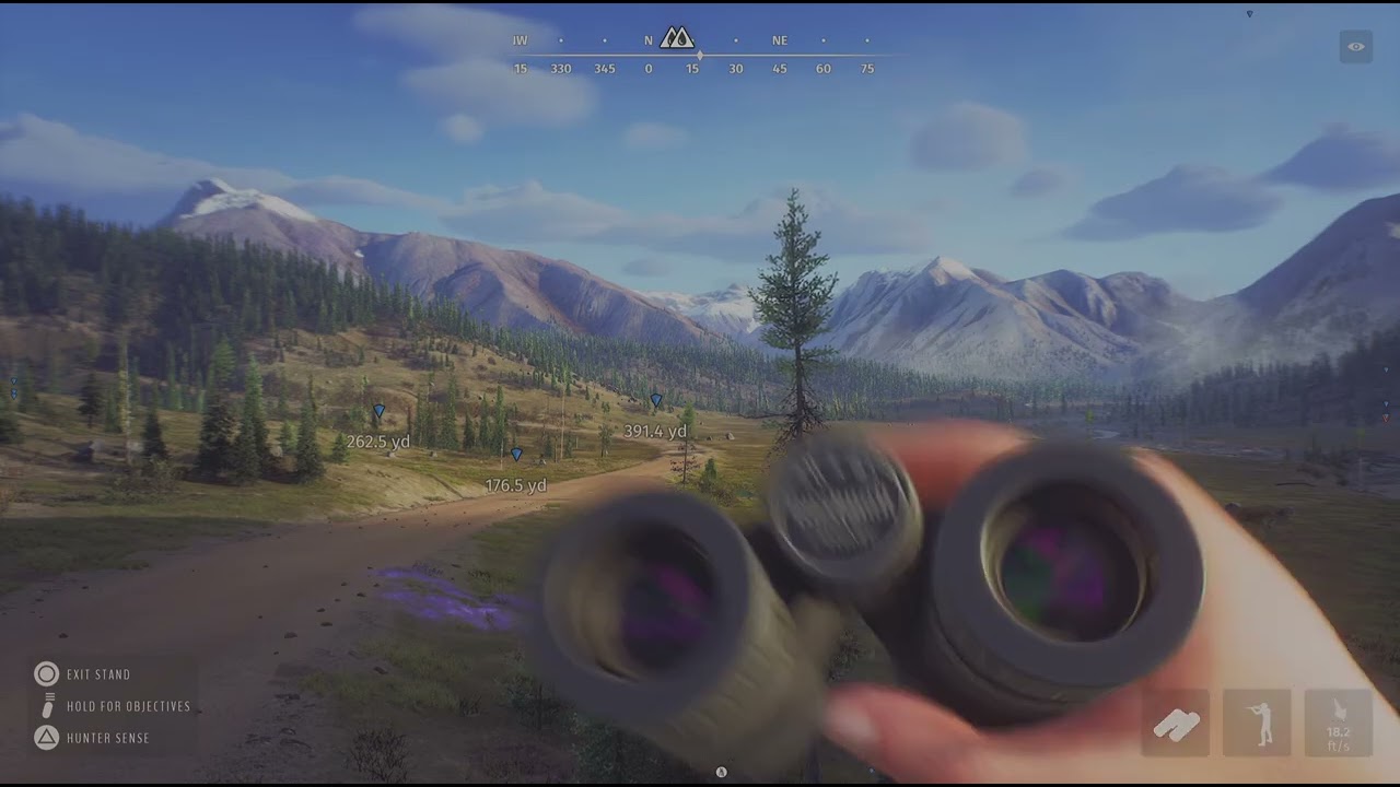 Way of the Hunter 5 Star Roosevelt Elk on Aurora AGAIN 🤣💖💯