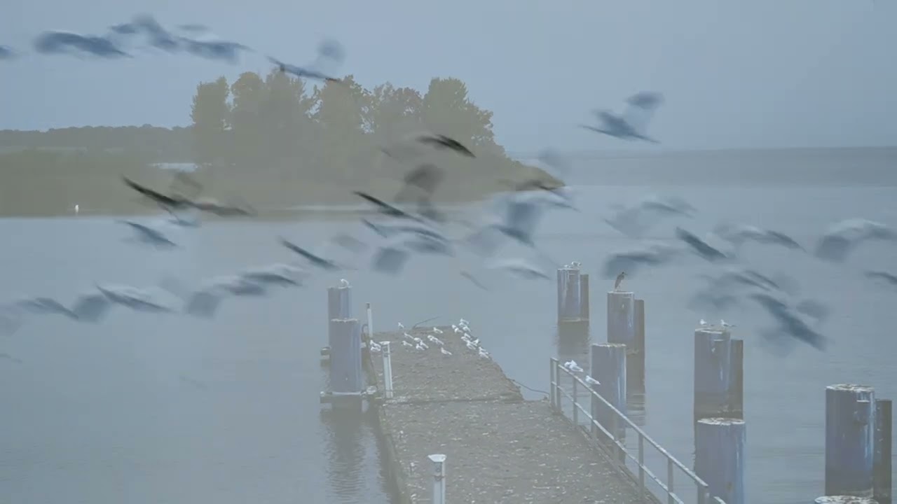 Herbststimmung an der Müritz - emotionale Naturaufnahmen in Ludorf