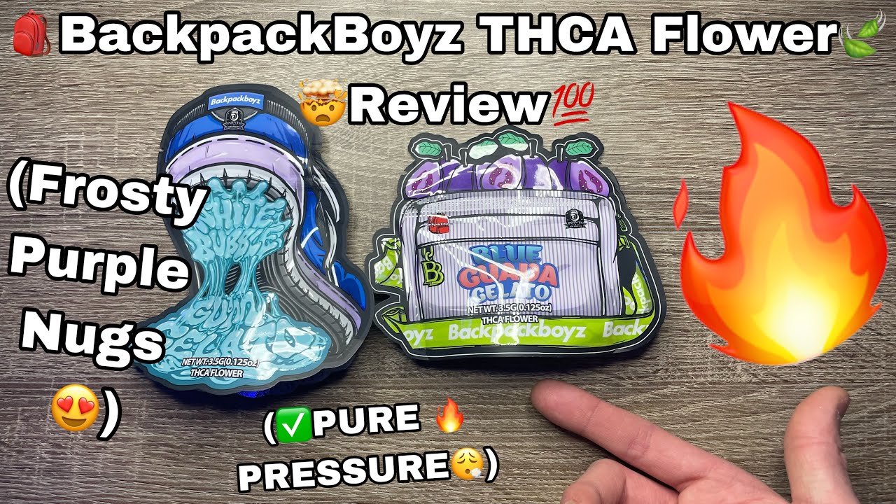 Backpack Boyz THCa Flower Review🎒🍃💯(STRAIGHT GAS⛽️) White Bubblegum Gelato + Blue Guava Gelato 😮&zwj;💨🔥