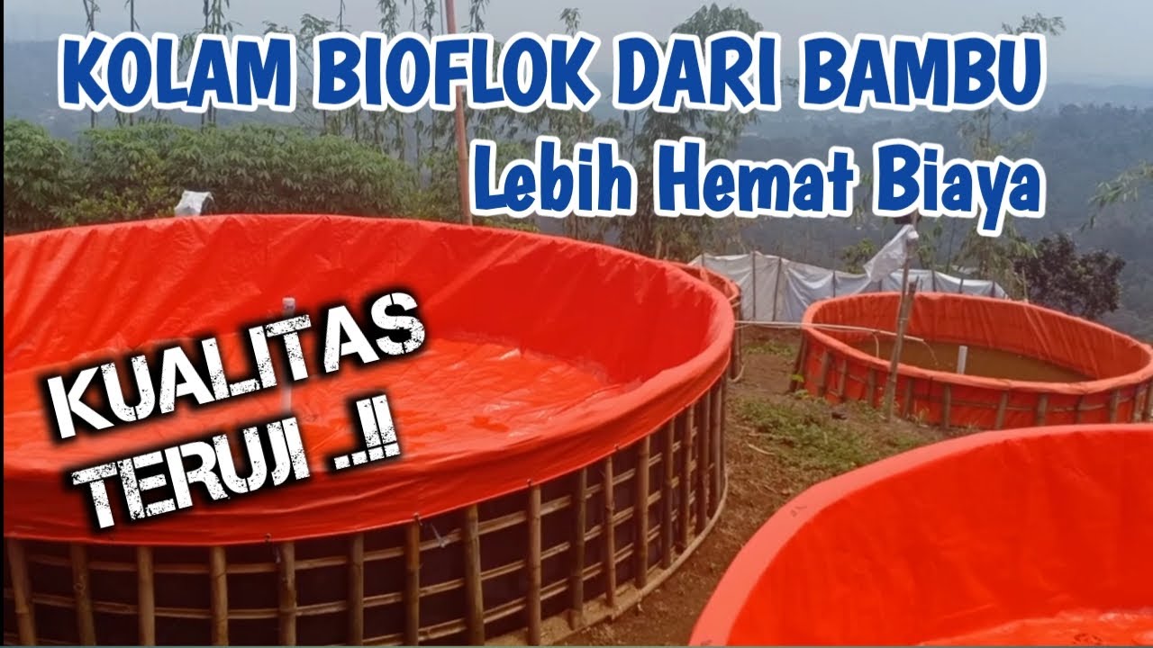 Kolam BIOFLOK atau Kolam BUNDAR. Kualitas sama Kuat, Biaya pembuatan terjangkau. 