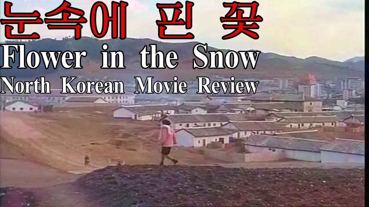 Flower in the Snow (2011) - North Korean Movie Review