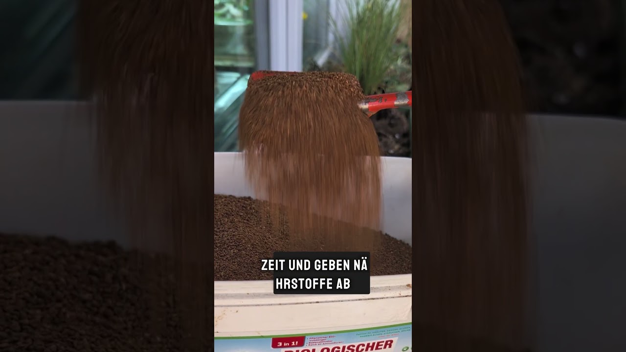 Balkonk&auml;sten NICHT leer machen - sondern aufwerten! #balkongarten #Garten #Gartentipps #Pflanzen