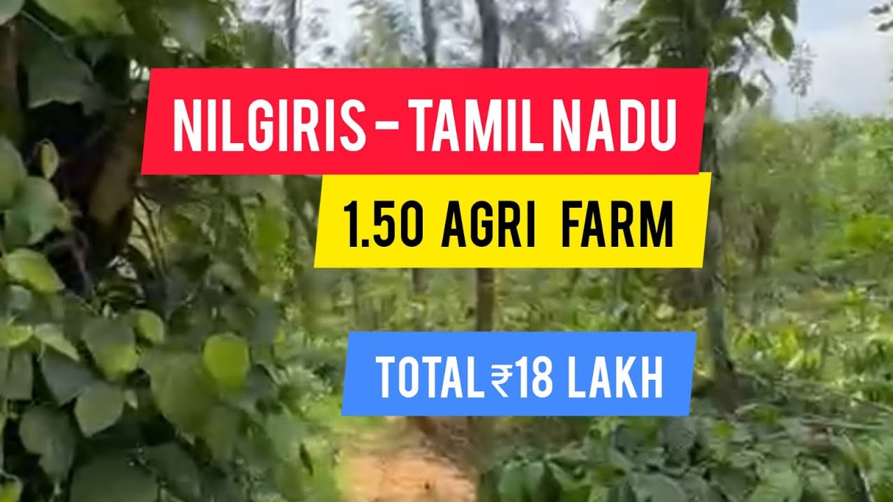 1.50 Acre Beautiful Agri Farm For Sale | Nilgiris | Gudalur | Tamil Nadu (18 Lakh )