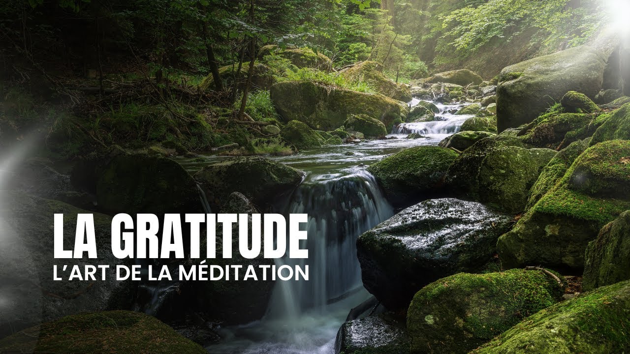 L'art de la méditation  - épisode 4 - la gratitude