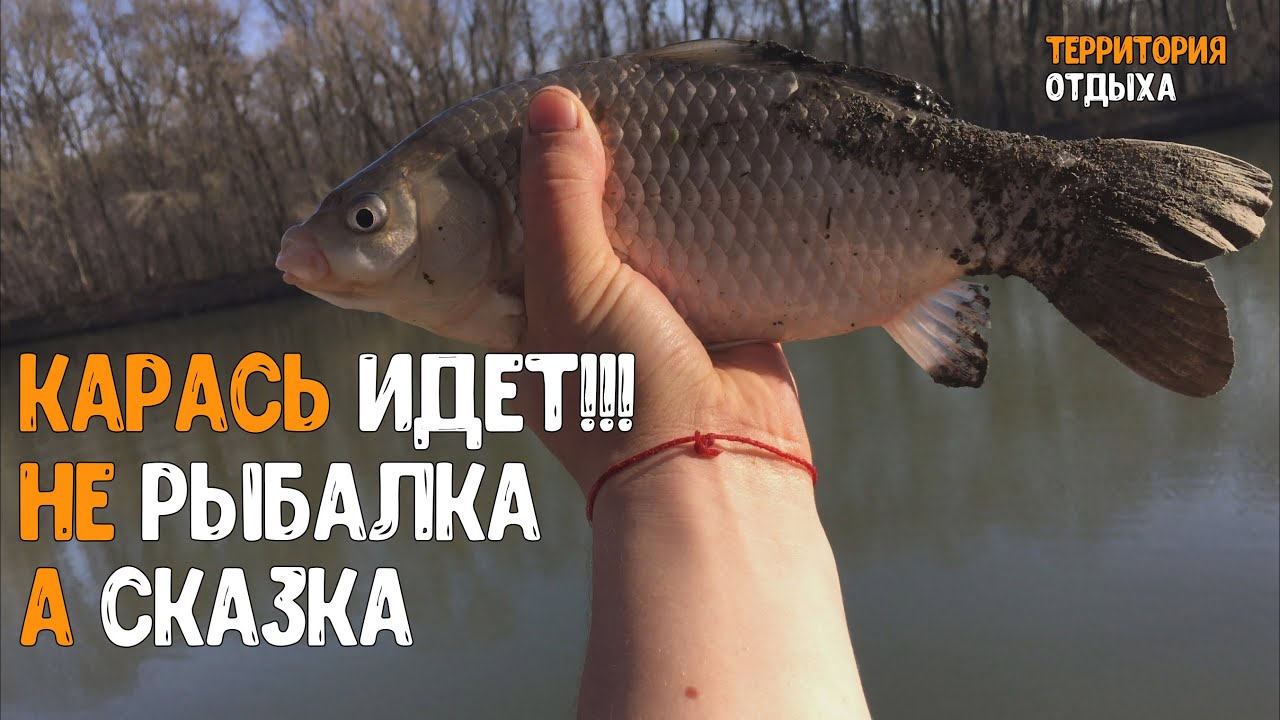 КАРАСЬ ИДЕТ!!! РЫБАЛКА НА ДНЕСТРЕ, ОТКРЫТИЕ СЕЗОНА ПО КАРАСЮ