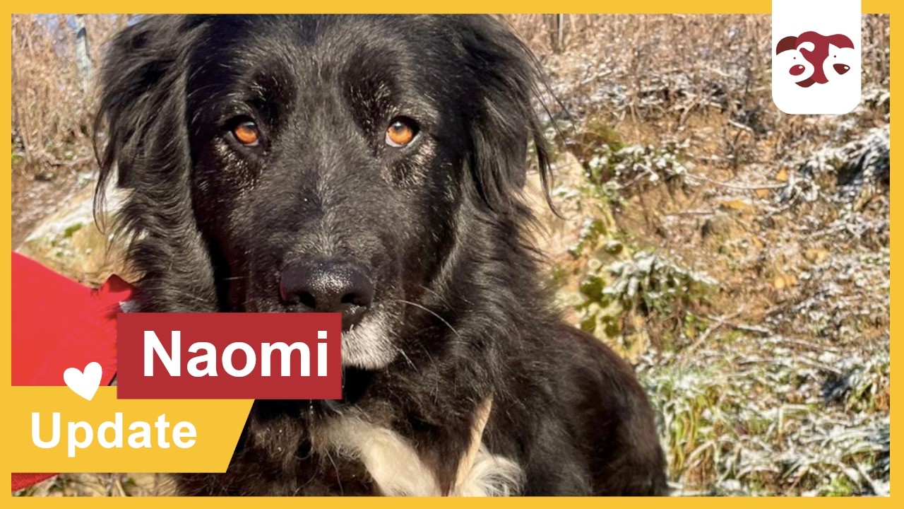 Naomi - Update Pflegestelle Februar 2026