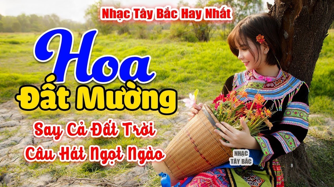 HOA ĐẤT MƯỜNG . LK Nhạc Tây Bắc Hay Nhất 2024 . Nhạc Vùng Cao Tây Bắc | Say Nghiêng Cả Đất Trời