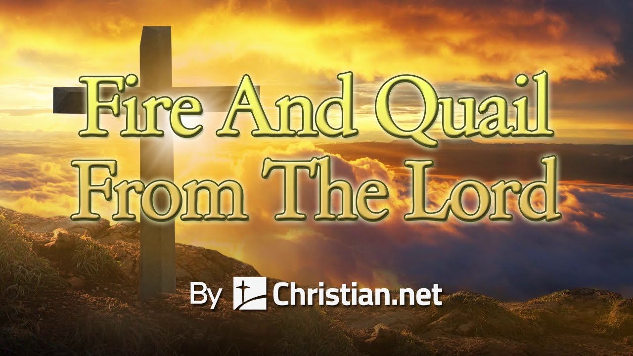 Numbers 11: Fire And Quail From The Lord | Bible Stories
