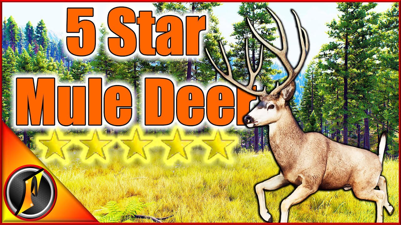 Completing Our Multimount With Another 5 Star Mule Deer!