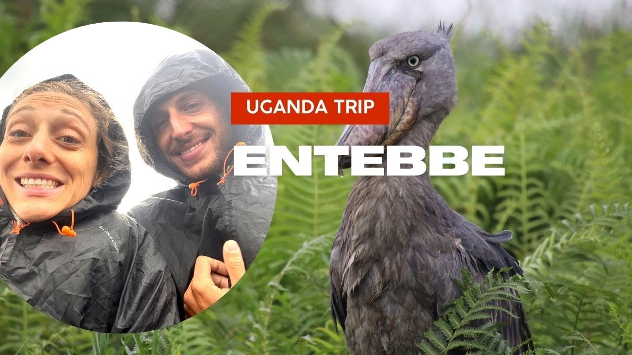 Uganda first impressions - Arriving in Entebbe