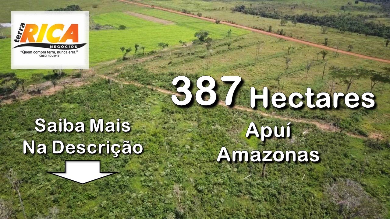 Fazenda à venda com 387 Hect.-Apuí/AM