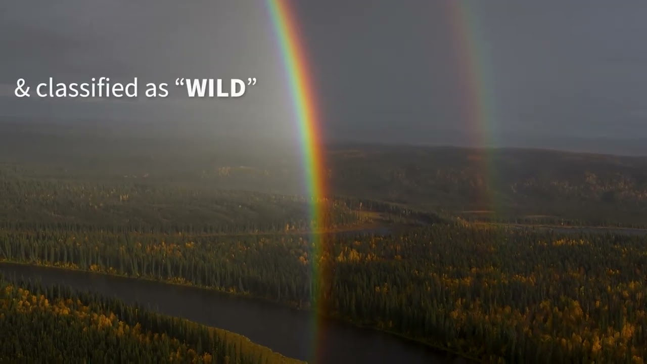 Nowitna Wild and Scenic River in Alaska