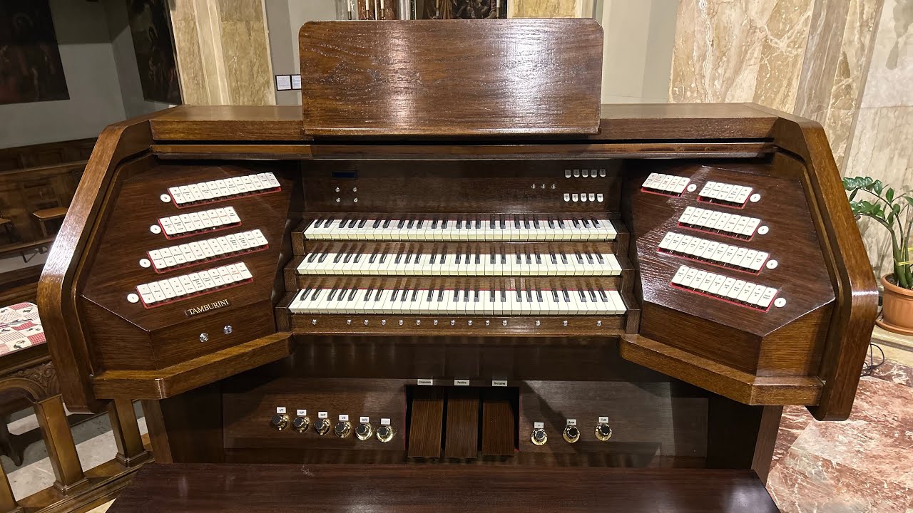 Bach e c. by Enzo Pedretti organist … provando il nuovo organo…