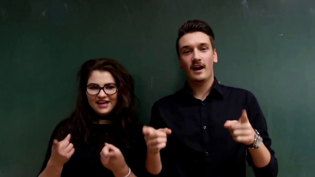 Srednja škola Ivan Švear Ivanić Grad - video