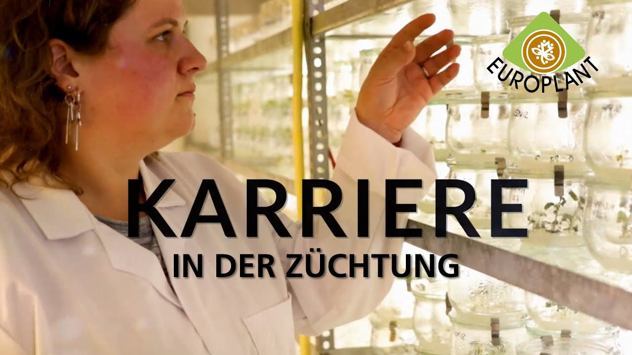 Labormitarbeiter, Saatzucht-Assistenten, ATA | EUROPLANT Pflanzenzucht GmbH