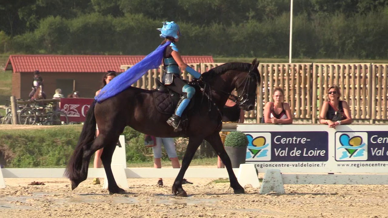 Championnats de France 2018 dressage club2 RLM, klara de sainte Anne frison de 7 ans