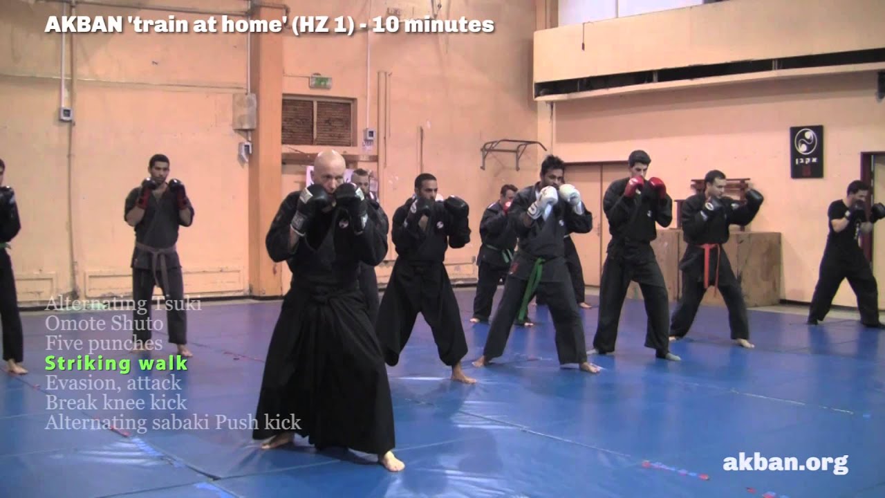 How to do Ninjutsu striking - sabaki basic combos - AKBAN Ninjutsu training