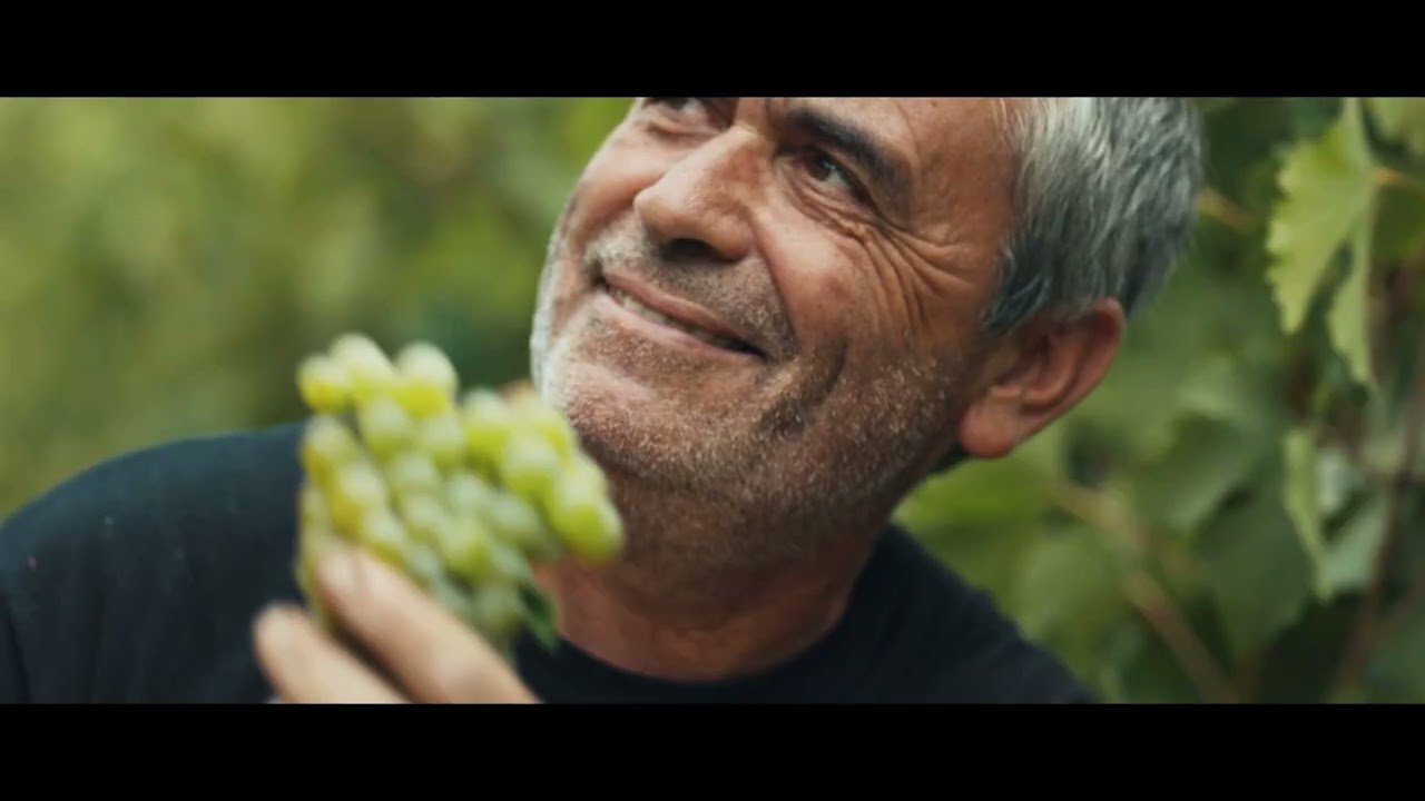 Plongez au cœur de l’univers de Sieur d’Arques