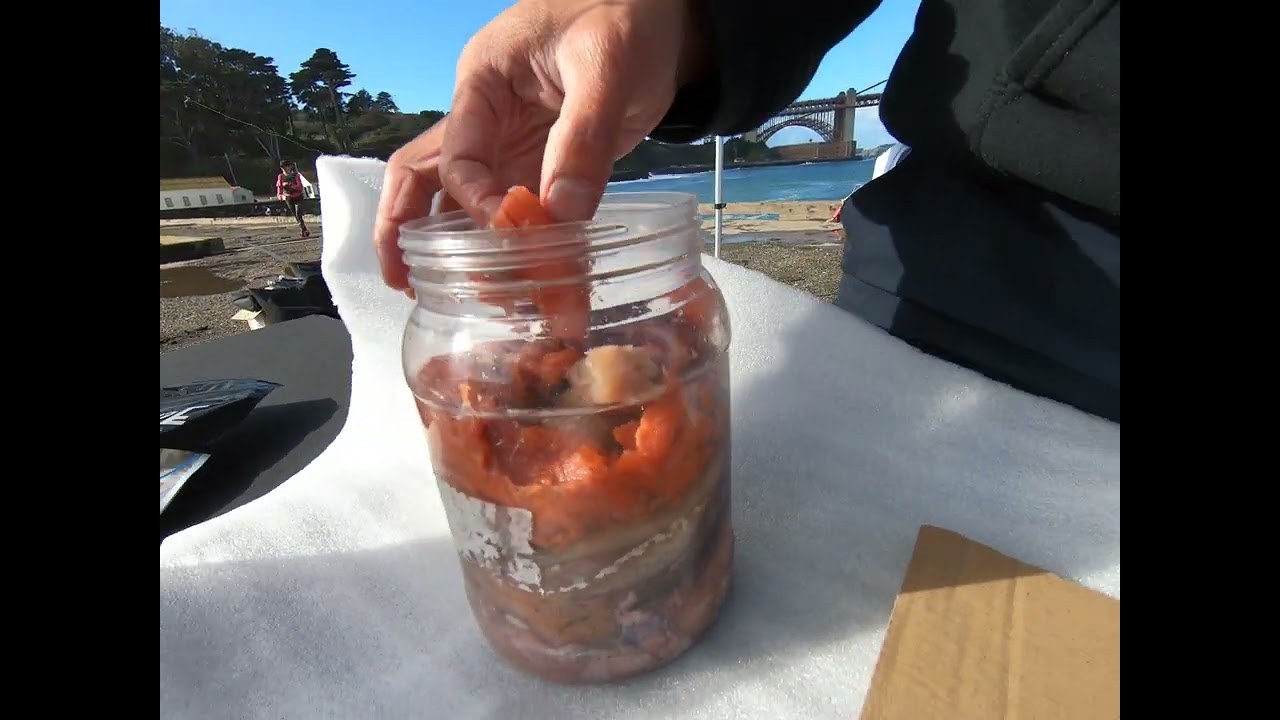 Baiting Success: Mastering Your Durasnare Crab Snare for Maximum Catch