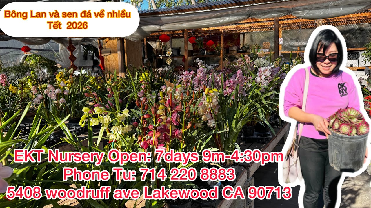 EKT Nursery Lakewood về nhiều hoa tết va phân bón, sen đá Hàn Quốc đã có mặt
