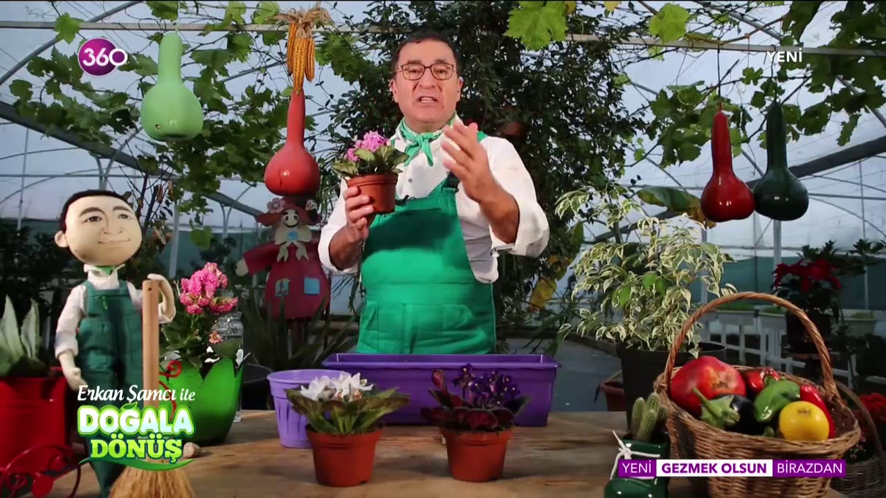 Doğala Dönüş - Menekşe Dikimi ve Bakımı - 30 11 2018