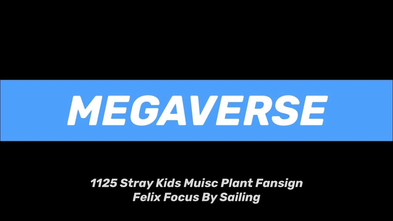 231125 Stray Kids Music Plant Fansign &lsquo;MEGAVERSE&rsquo; Felix Focus 4K Ver.