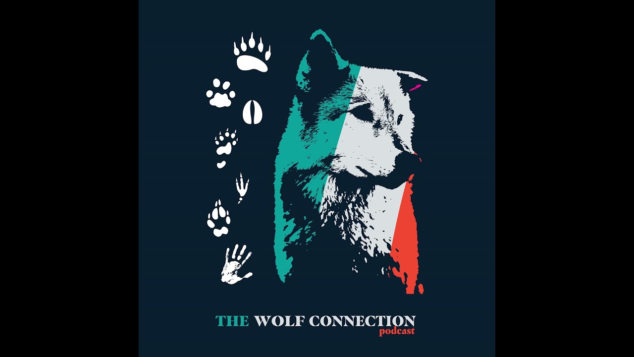 Эпизод #221 Том Макферсон - Визит в Wolf Connection