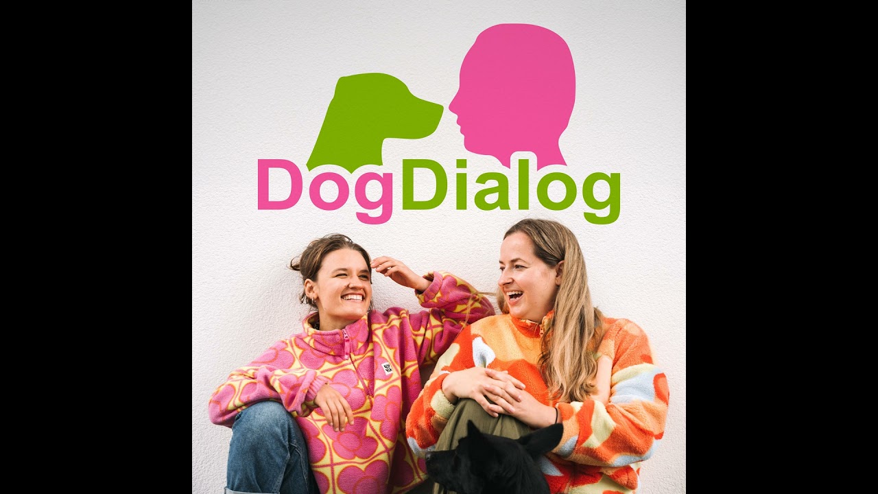 Schmerzen beim Hund