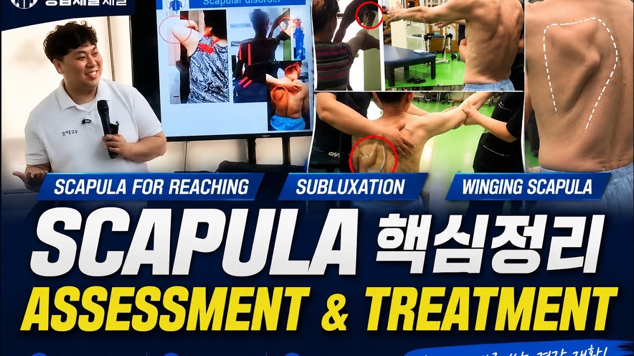 상지재활전문가과정 7주차 이론 #reaching을 위한 scapula의 치료 실습