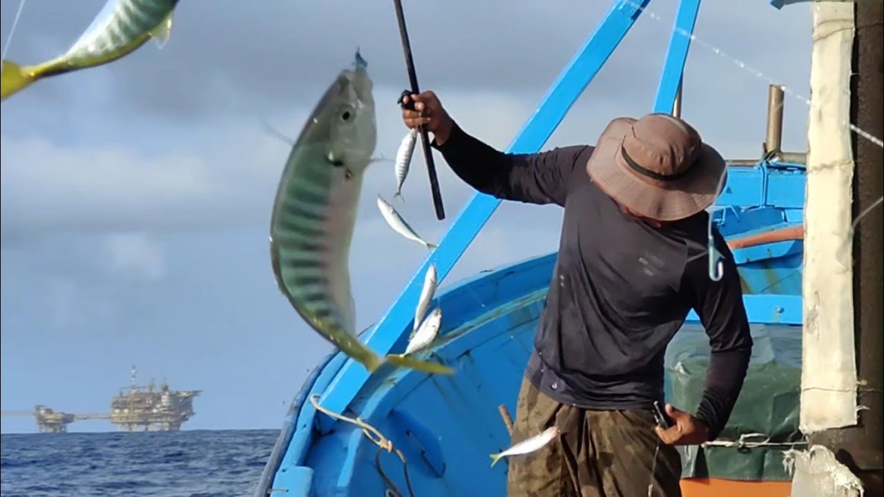ikan selar sembak tanpa henti laut pelantar Tangga Barat