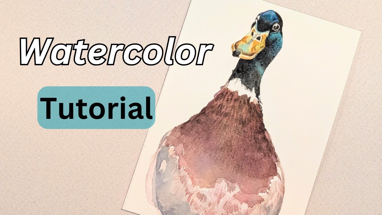 How to Paint a Duck in Watercolor