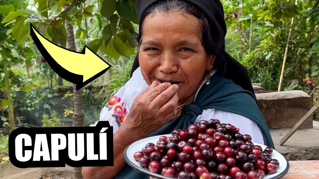 Cosechando unos ricos capulies - MAMÁ JOSEFA