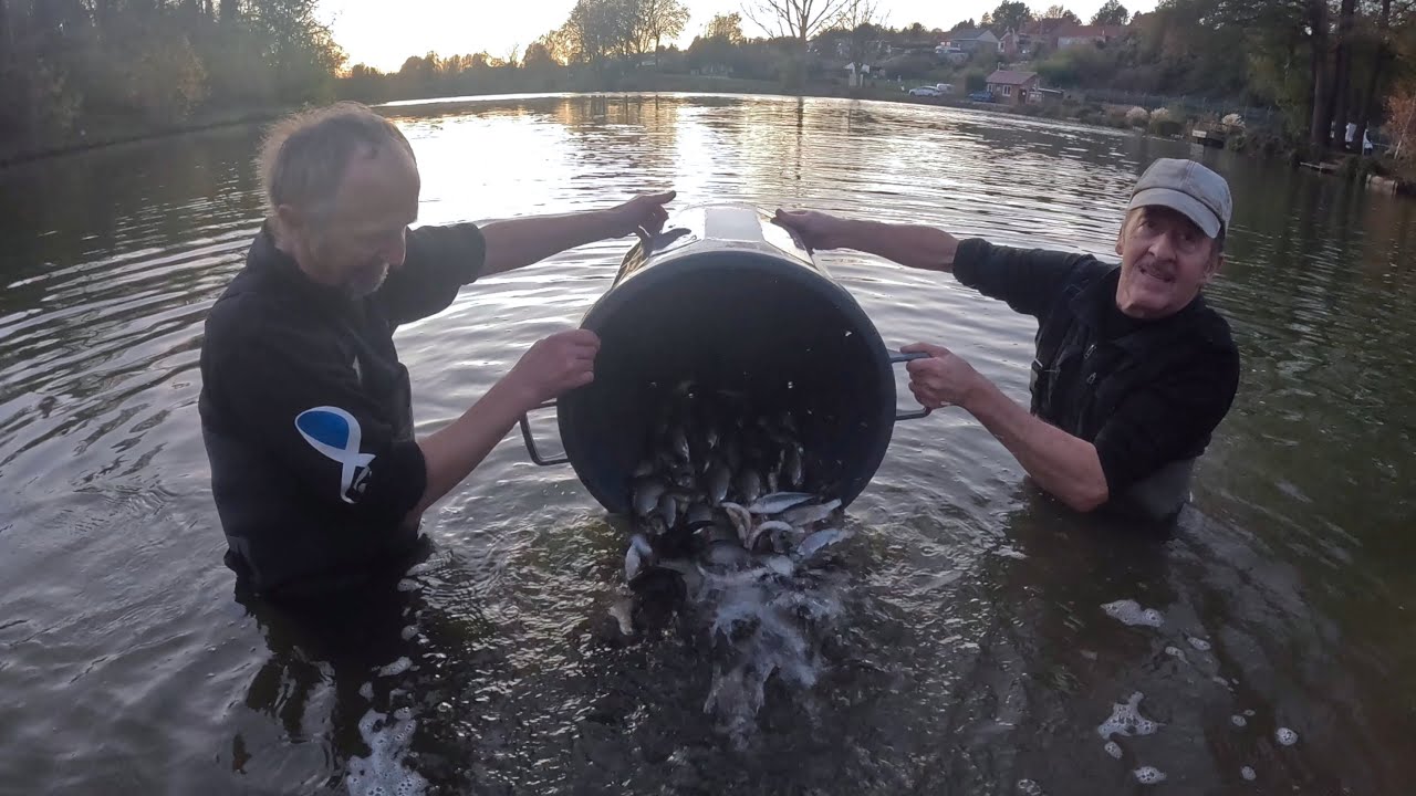 Livraison du poisson blanc - novembre 2025