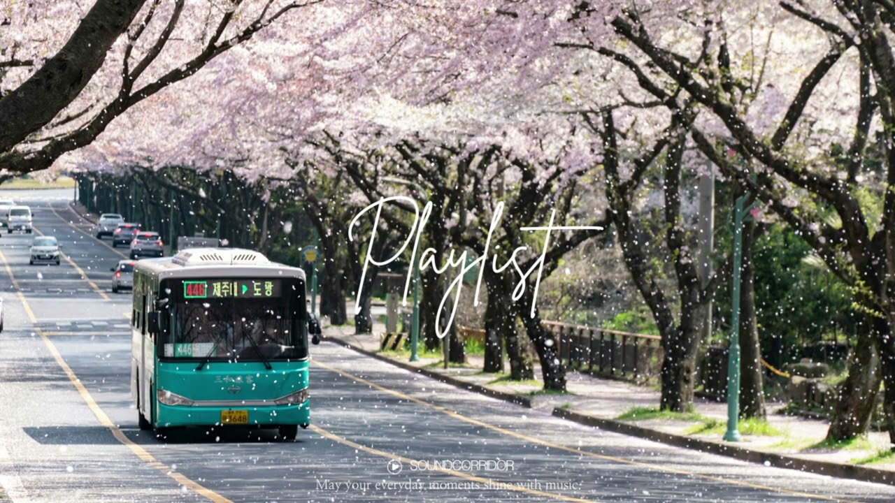 [Playlist] 다음 정류장은 '봄'입니다🌸 | 벚꽃 시즌에 듣고 싶은 팝송 | 휴식 · 작업 BGM