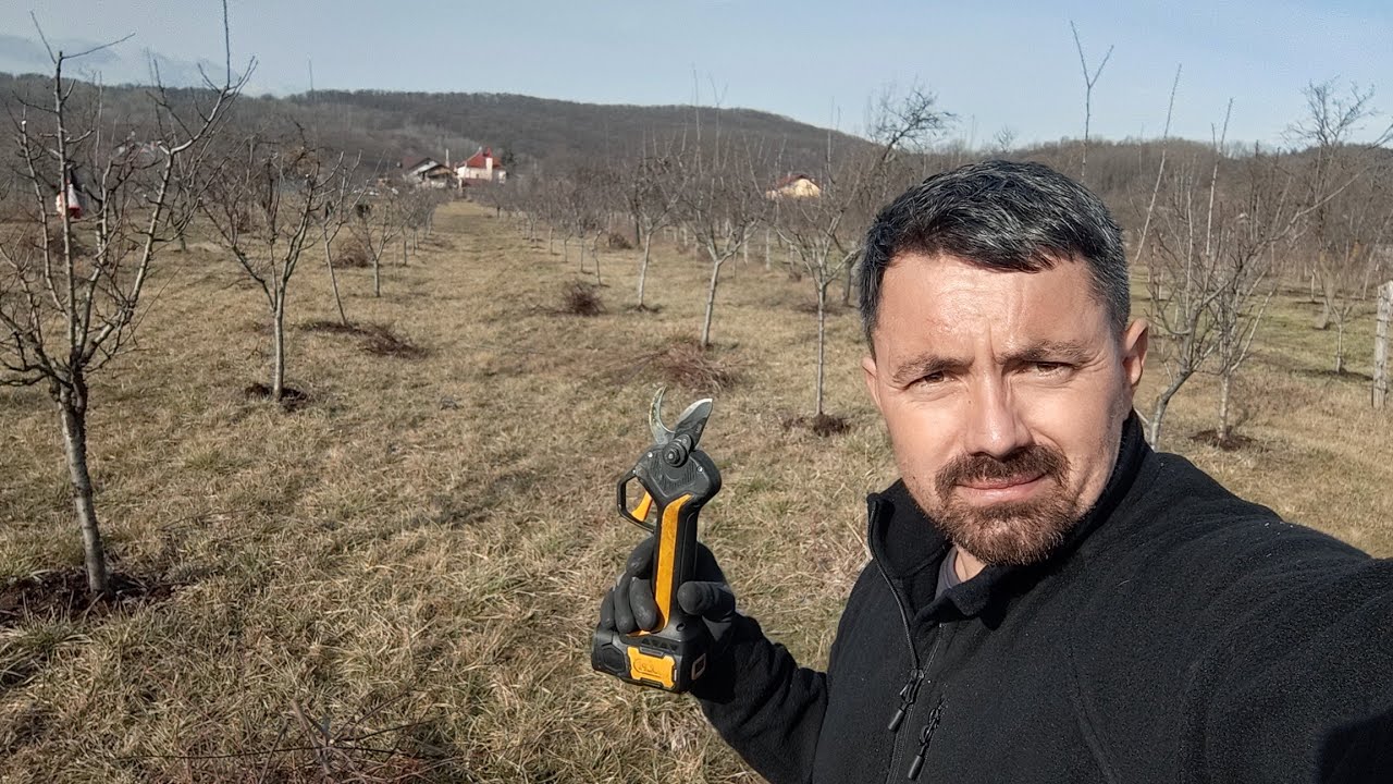 Livada de 80 de pruni formați vas lucrați de mine de 3 ani 🫐🪚✂️