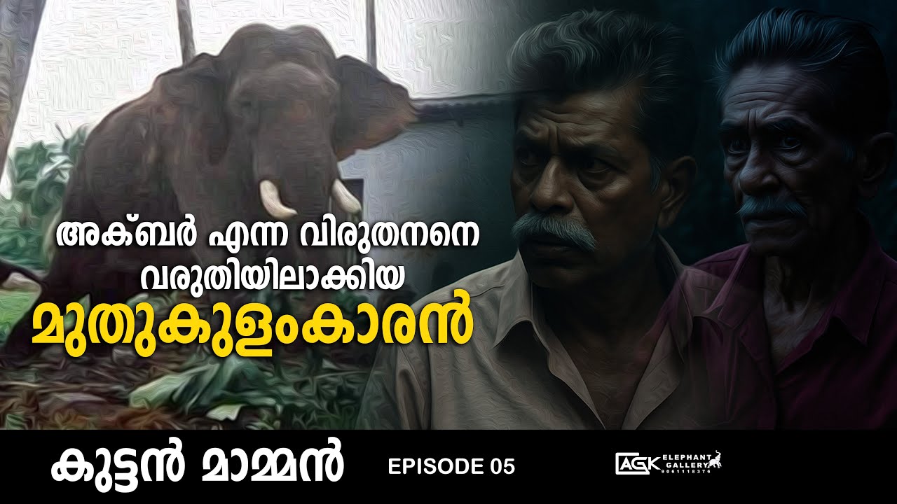 മലയിടിഞ്‌ വീണാലും ആന പേടിക്കില്ല | കുട്ടൻ മാമ്മൻ | INTERVIEW | EPISODE 05