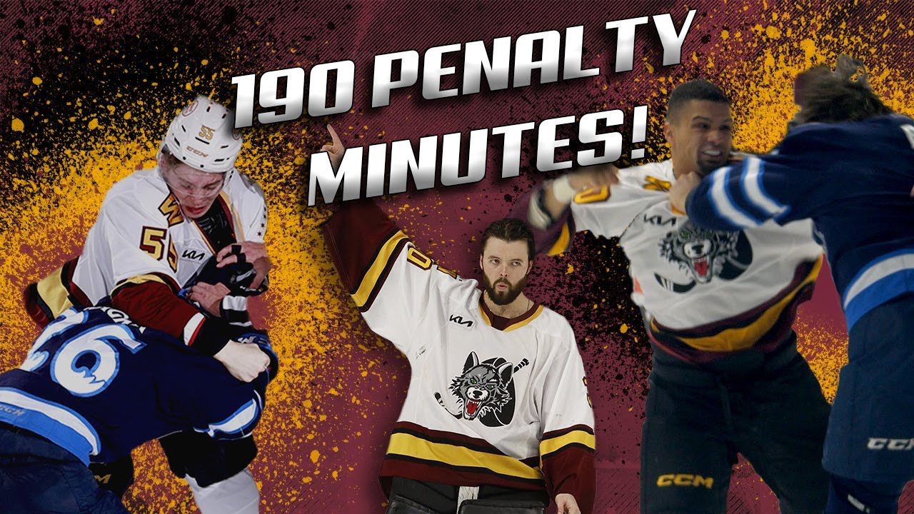 Things Got HEATED vs. the Manitoba Moose