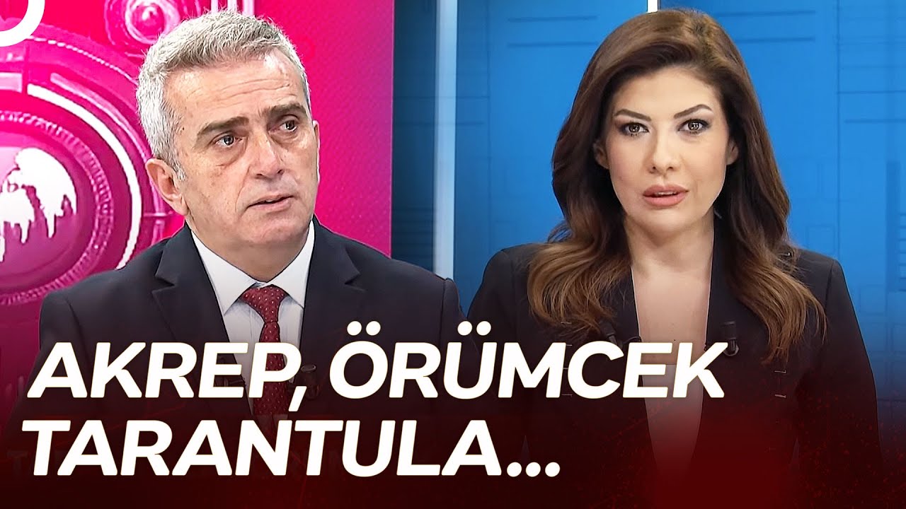 ABD'li Profesörün Valizinden Hayvanlar ve Zehirleri Çıktı! | TV100 Haber