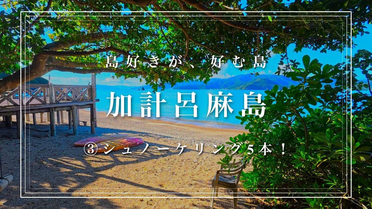 【加計呂麻島ひとり旅③】これほど美しいとは・・・！セルフシュノーケリング＆スキンダイビング５つのスポット紹介！