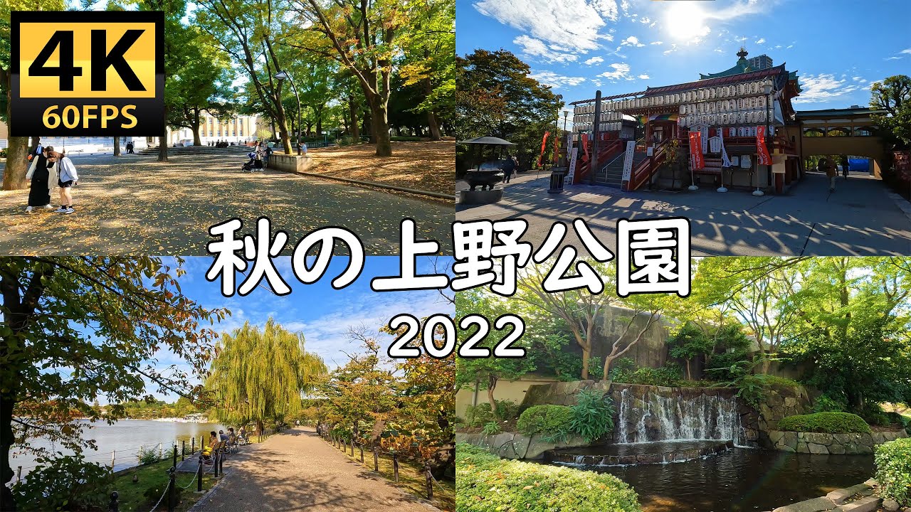 4K JAPAN - Ueno Park (2022 Autumn) / 秋の上野公園を散歩する。2022 #115