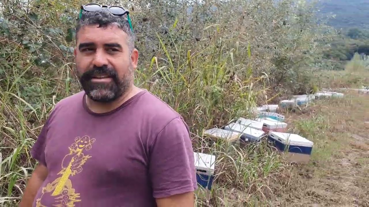 Αυτοψία στα μελίσσια της Θεσσαλίας μετά την πλυμμήρα Daniel. Σεπτέμβριος 2023