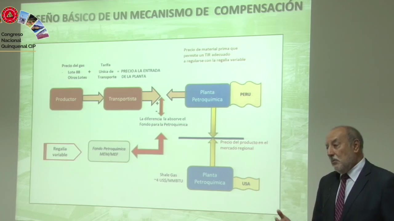 Industria Petroquímica y su Desarrollo en el Perú - Ponencia